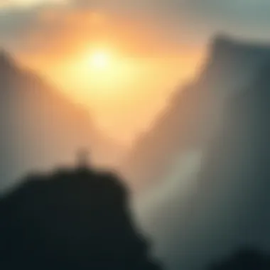 Magnificent 배팅하기: 스포츠 베팅과 로터리의 이해 Magnificent 배팅하기: 스포츠 베팅과 로터리의 이해