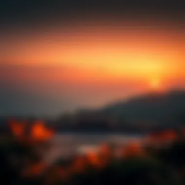 Magnificent 서울 경마 결과 분석과 전략 Magnificent 서울 경마 결과 분석과 전략
