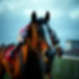 Understanding Horse Racing Predictions Analysis of horse racing predictions