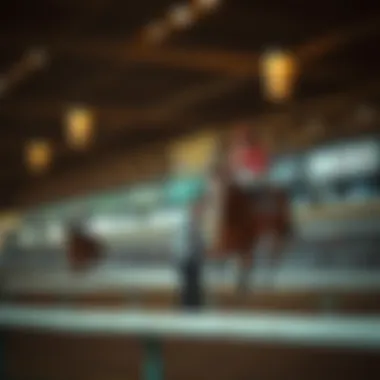 Understanding the Operational Framework of Japanese Horse Racing Operational structure of horse racing events in Japan