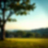 A serene landscape symbolizing newfound wealth and freedom