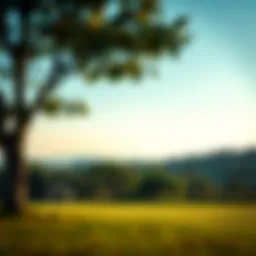 A serene landscape symbolizing newfound wealth and freedom