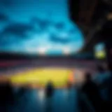 Comprehensive overview of sports viewing platforms