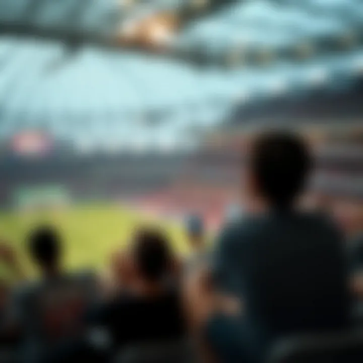 User Preferences in Sports Viewing User preferences for sports viewing experiences