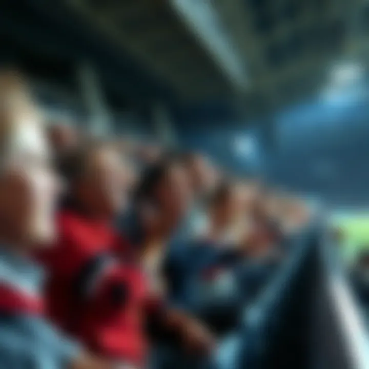 Fans cheering in the stands