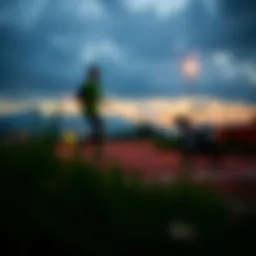 토요경마결과 분석 및 전략적 접근 Introduction