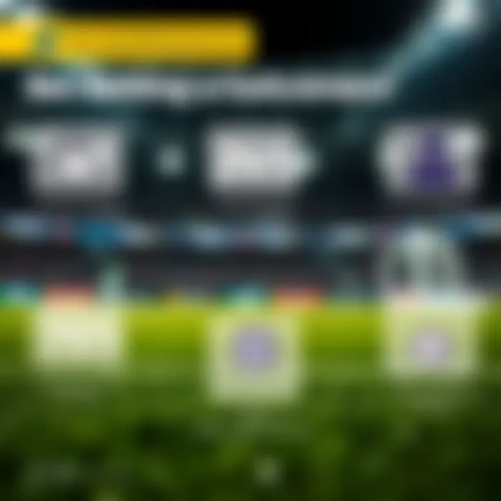 Achieving Successful Betting Outcomes with YouCanStar Infographic showing successful betting outcomes